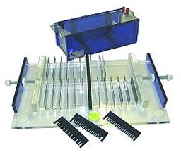 Agarose Gelkammer für vier Gele gleichzeitig.