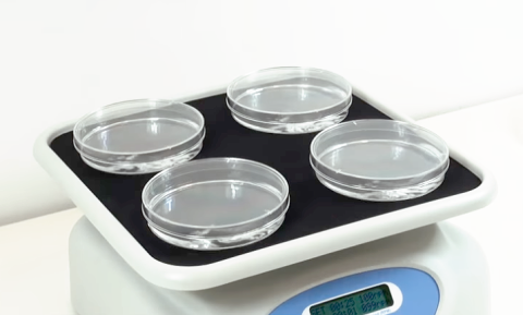 Orbitalschüttler PSU mit Plattform für vier Petrischalen.