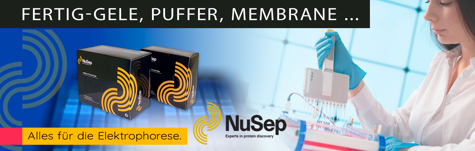 Elektrophorese-Gele von NuSep